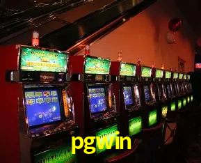 Flash Promotion pgwin